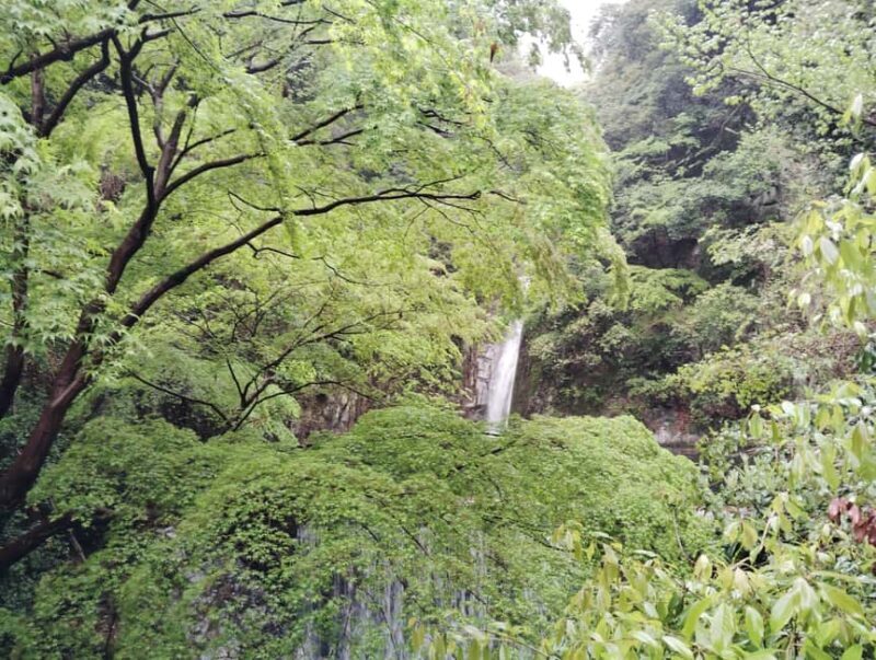 Kobe: Nunobiki Falls Morning Guided Hike - FAQ