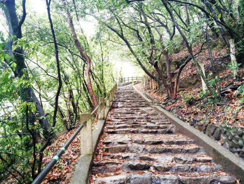 Kobe: Nunobiki Falls Morning Guided Hike - An In-Depth Look at the Experience