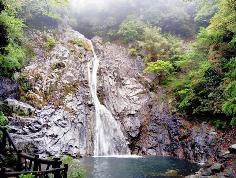 Kobe: Nunobiki Falls Morning Guided Hike - Final Thoughts