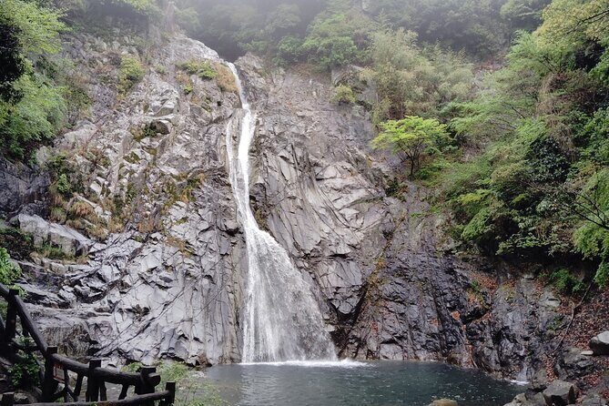Kobe Nunobiki Falls Morning Guided Hike - Good To Know