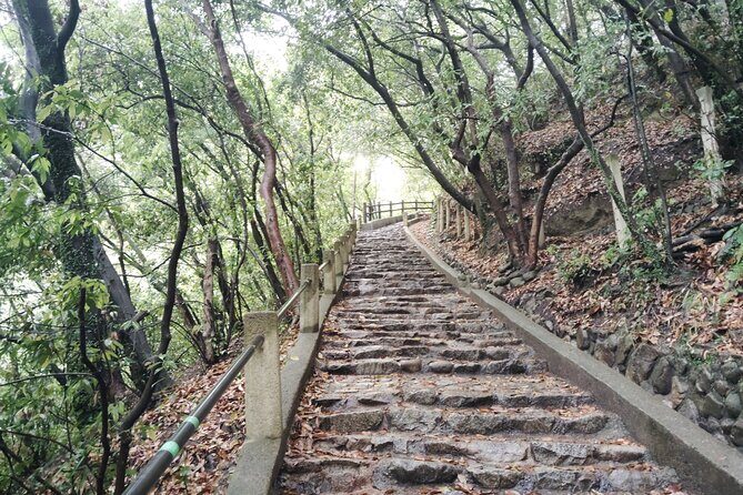 Kobe Nunobiki Falls Morning Guided Hike - The Sum Up