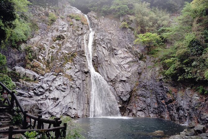 Kobe Nunobiki Falls Morning Guided Hike - FAQ