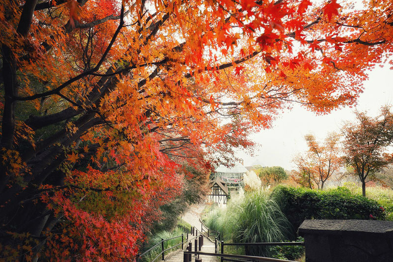 Kobe Nunobiki Herb Gardens Ticket & Ropeway Ticket - From Shin-Kobe to the ropeway station