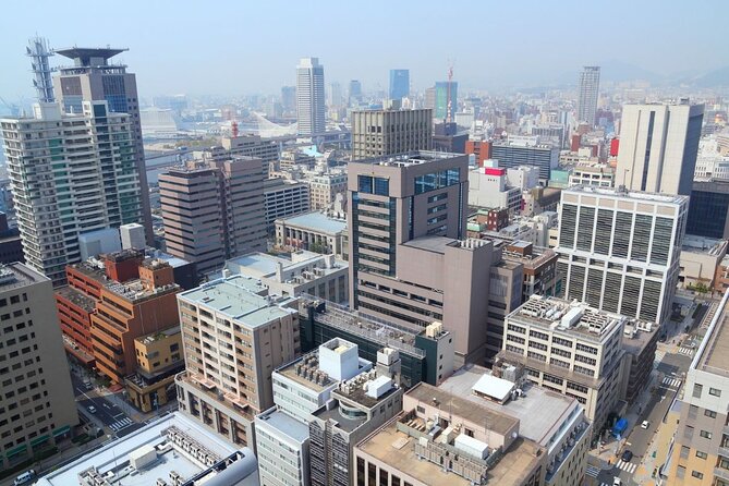 Kobe : Private Custom Tour (Excursion to Osaka / Kyoto Possible) - Tour Highlights