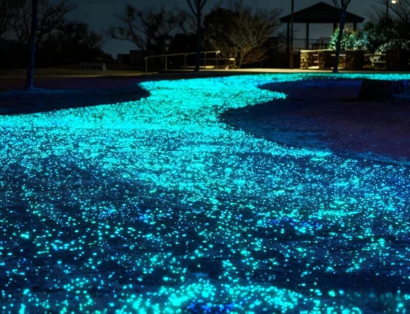 Kobe: Private Night Views Tour with Local Guide - An In-Depth Look at the Kobe Night Views Tour