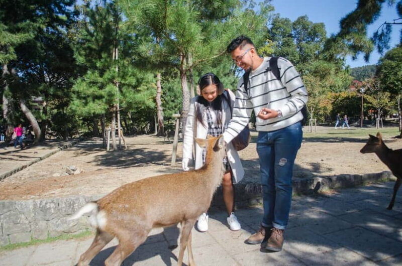 Kobe: Private Walking Shore Excursion- Kyoto/Osaka/Nara/Kobe - Good To Know