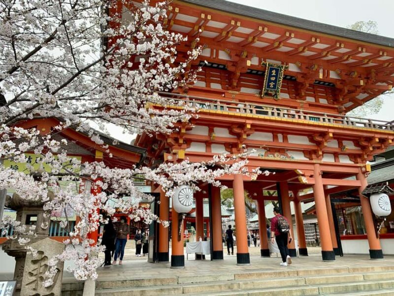 Kobe: Private Walking Tour with a Local Guide - Exploring Kobe: A Guide to the Tour Highlights