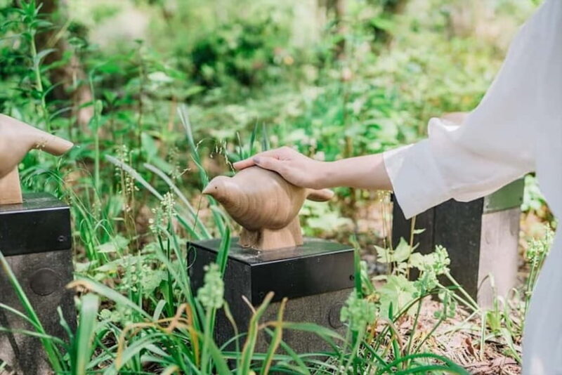 Kobe: Rokko Forest Sound Museum Admission Ticket - Good To Know
