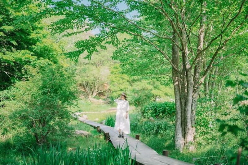 Kobe: Rokko Forest Sound Museum Admission Ticket - The Setting and Surroundings