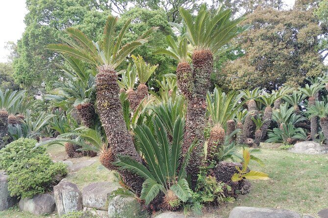 Kobe: Sorakuen Garden Guided Walking Tour 1h - Final Thoughts: Is It the Right Choice for You?