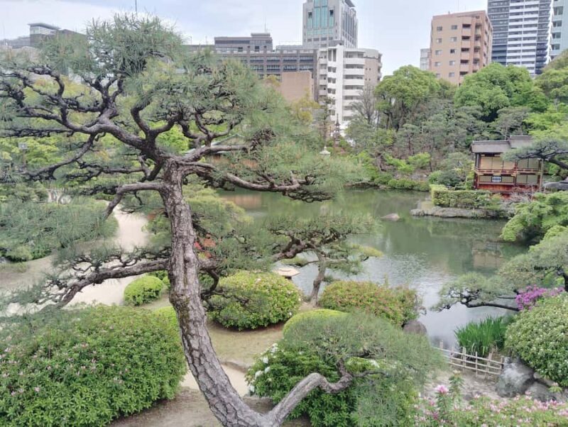 Kobe: Sorakuen Garden Guided Walking Tour - Exploring Kobes Hidden Green Gem: Sorakuen Garden