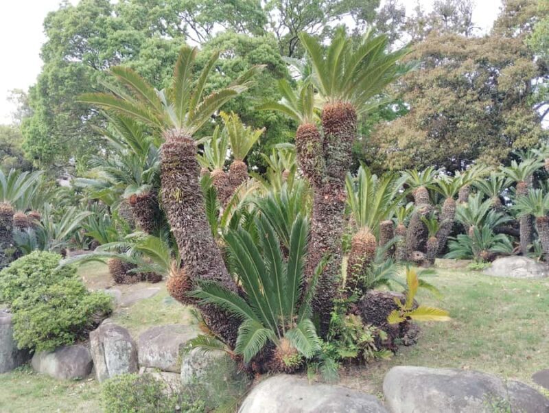 Kobe: Sorakuen Garden Guided Walking Tour - Value and Practicality: Is It Worth It?