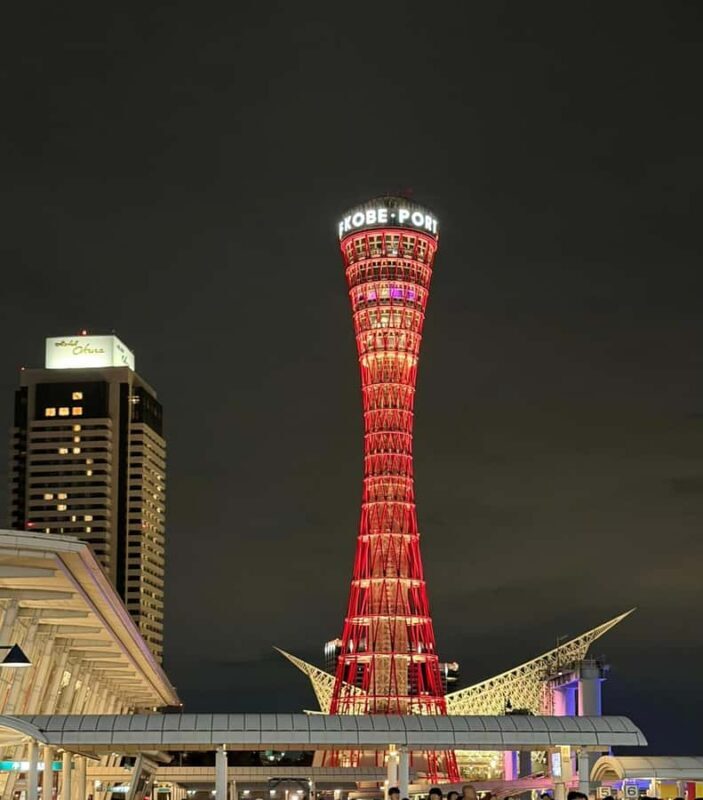 Kobe to Osaka: One night, two cities, endless adventure - Who Should Consider This Tour?