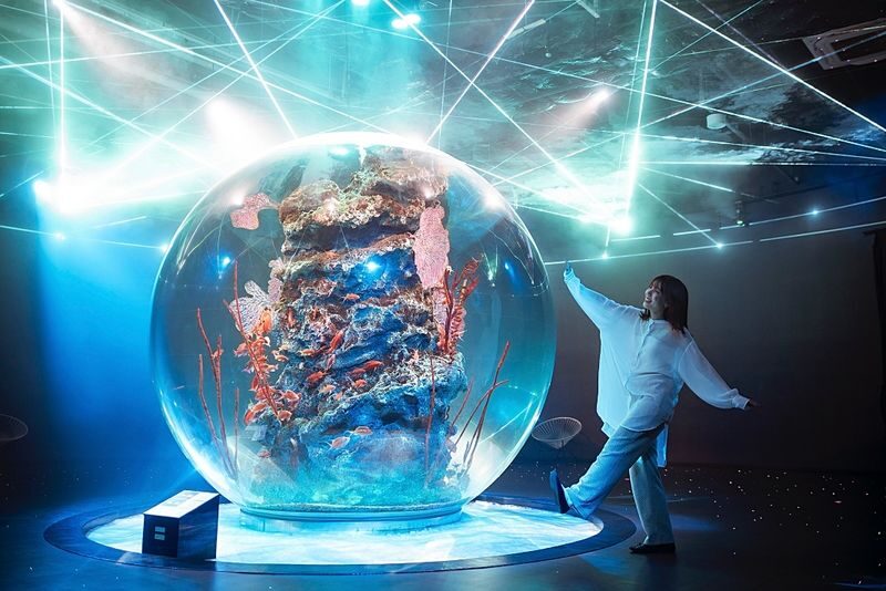 Kobe Urban Aquarium AQUARIUM ART atoa Admission Ticket - Key points before you go