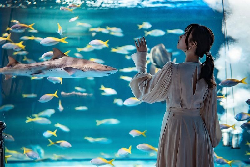 Kobe Urban Aquarium AQUARIUM ART atoa Admission Ticket - An aquarium staged like a series of small worlds