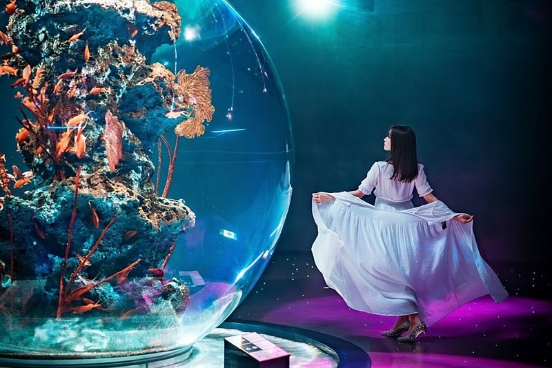 Kobe Urban Aquarium AQUARIUM ART atoa Admission Ticket - How long to allow, and how the visit flows