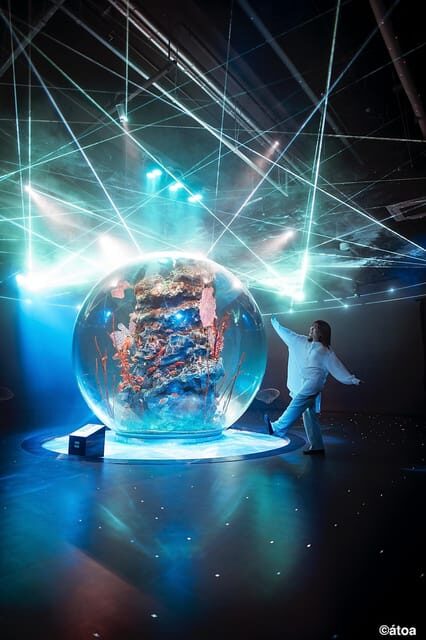 Kobe: Urban Aquarium AQUARIUM×ART átoa Entry Ticket - The Art Installations and Visual Appeal