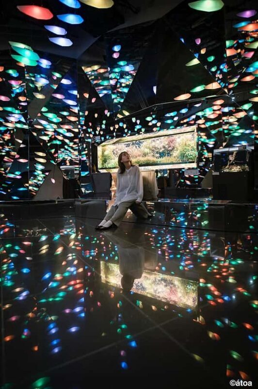 Kobe: Urban Aquarium AQUARIUM×ART átoa Entry Ticket - Good To Know