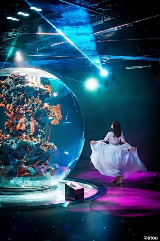 Kobe: Urban Aquarium AQUARIUM×ART átoa Entry Ticket - Who Should Visit?