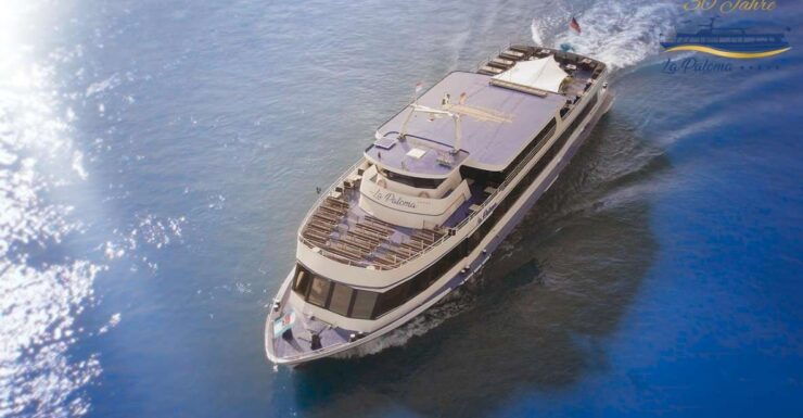 Koblenz: 1-Hour Sightseeing Cruise Around Koblenz - Cruise Experience and Highlights