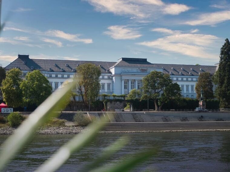 Koblenz: City & Rhine Valley Sightseeing Cruise - Who Would Love This Experience?