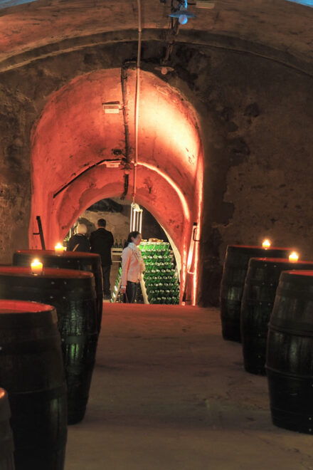 Koblenz: Historical Sparkling Wine Museum Guided Tour - Cancellation and Refund Policy