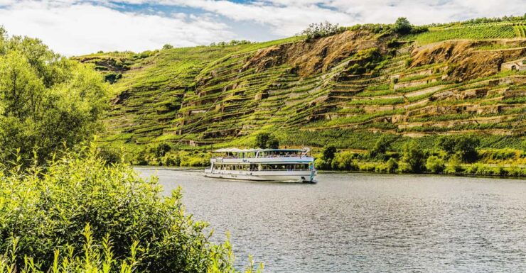 Koblenz: Panoramic Cruise on Moselle River to Winningen - Key Points