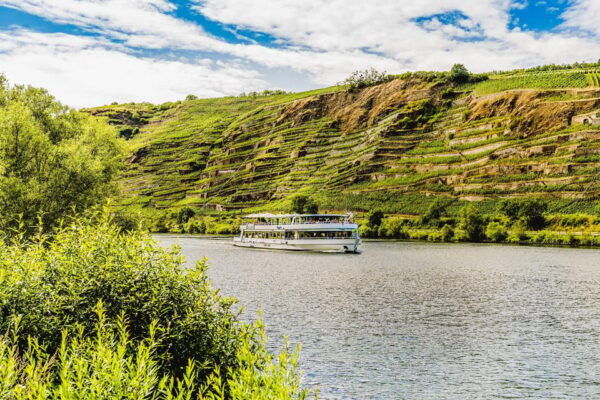 Koblenz: Panoramic Cruise on Moselle River to Winningen - The Sum Up