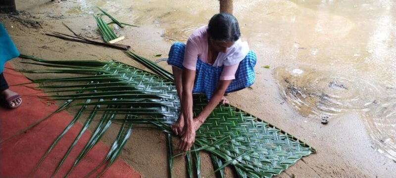 Kochi: Backwater Exploration in Village: Free Pickup & Drop - An In-Depth Look at the Tour Experience