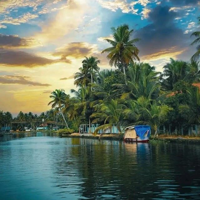 Kochi: Backwater Exploration in Village: Free Pickup & Drop - Final Thoughts