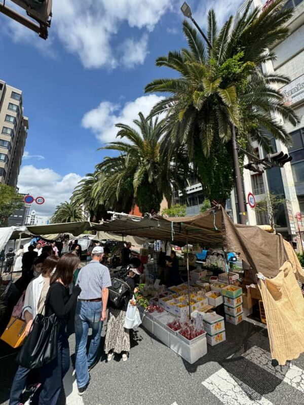 Kochi Castle, Shrine & Hirome Market: Half-Day Guided Tour - Final Thoughts