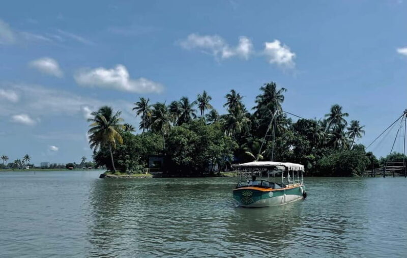 Kochi: Electric Boat Private Tour - Who Will Love This Tour?