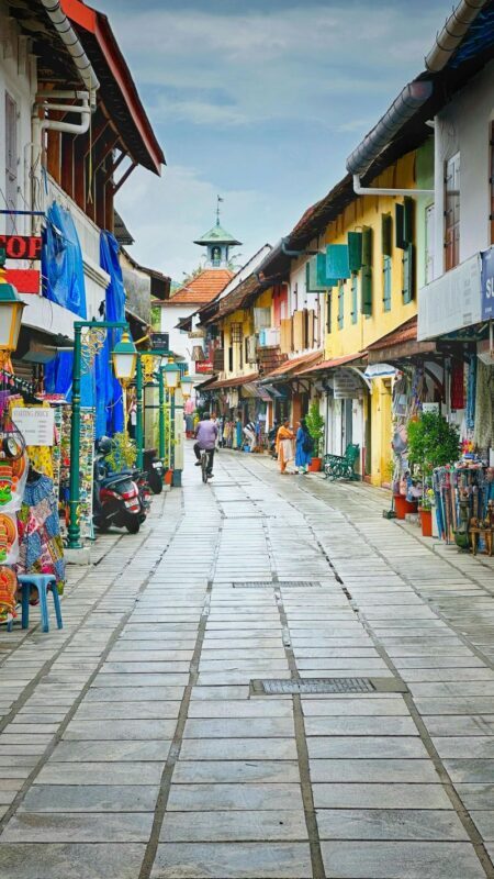 Kochi Half-Day City Tour with Local Guide - Fort Kochi, covered without a complicated plan
