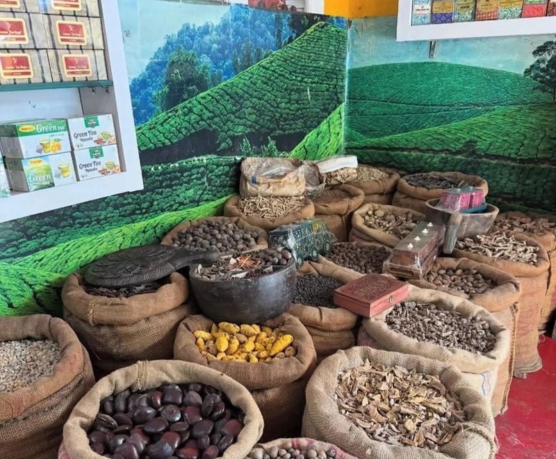 Kochi Half-Day City Tour with Local Guide - Seeing the historic sights at street level