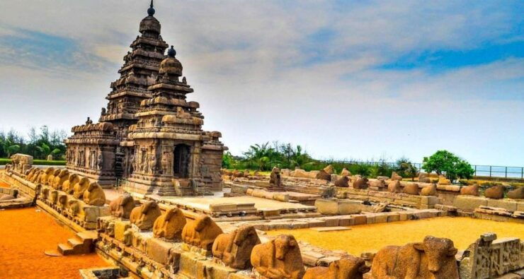 Kochi: Highlights of South India 7-Day Trip - Good To Know