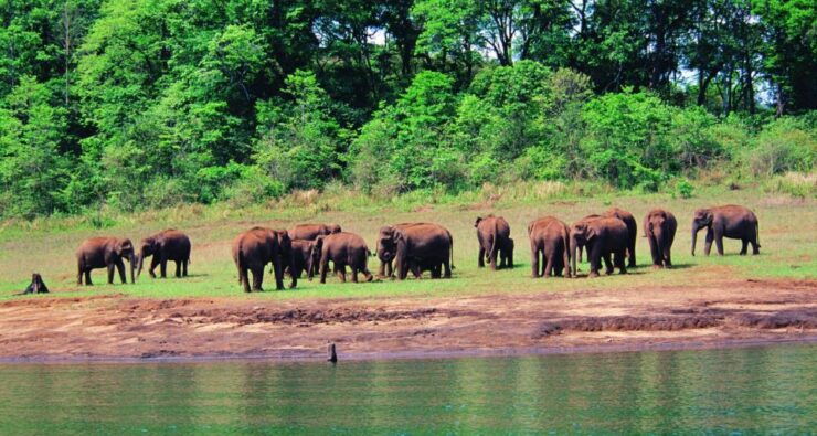 Kochi: Highlights of South India 7-Day Trip - Trip Overview