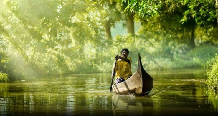 Kochi: Highlights of South India 7-Day Trip - Kochi Exploration