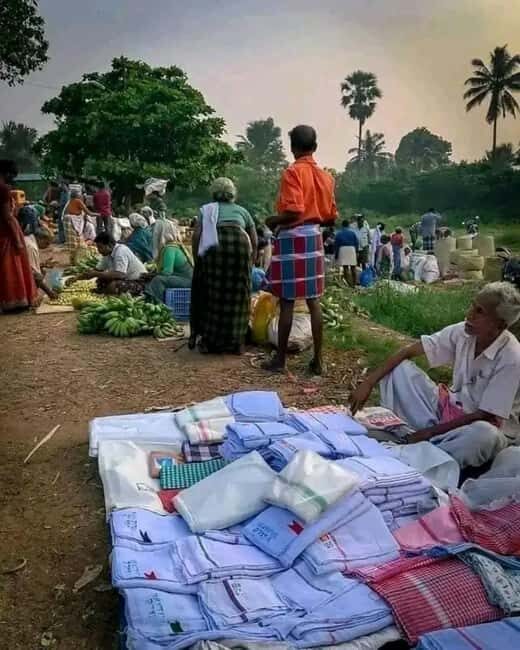 Kochi: Highlights Ways of Life & Attitudes Tour - What to Expect from the Tour