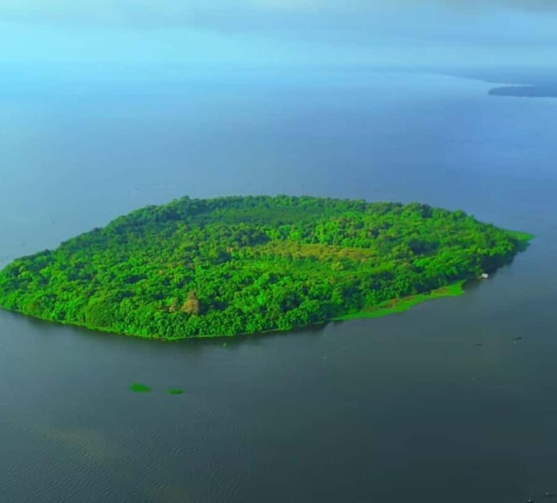 Kochi: Kumarakom Day Trip with Private Shikara Cruise & more - Introduction