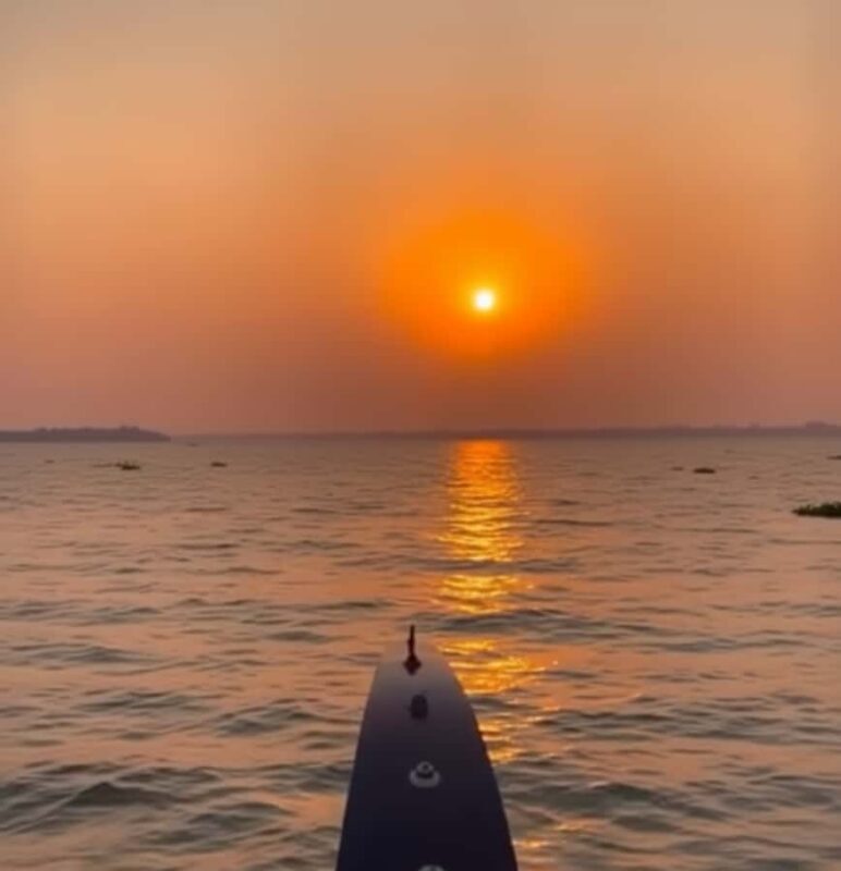 Kochi: Kumarakom Day Trip with Private Shikara Cruise & more - The Sum Up