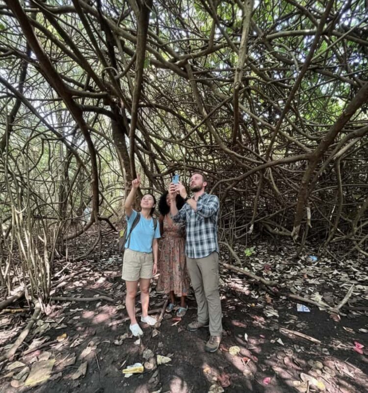 Kochi: Kumarakom Day Trip with Private Shikara Cruise & more - FAQ