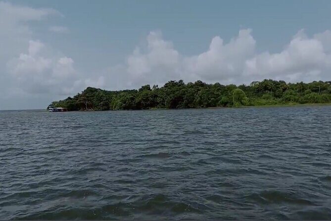 Kochi: Kumarakom Day Trip with Shikara Cruise & more - Analyzing the Value