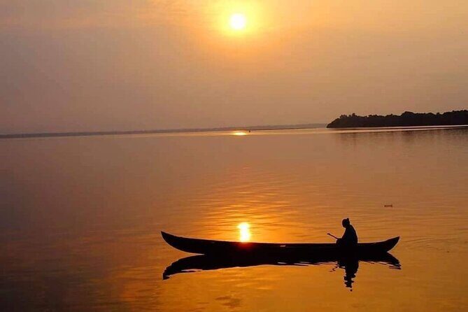 Kochi: Kumarakom Day Trip with Shikara Cruise & more - Why Choose This Tour?