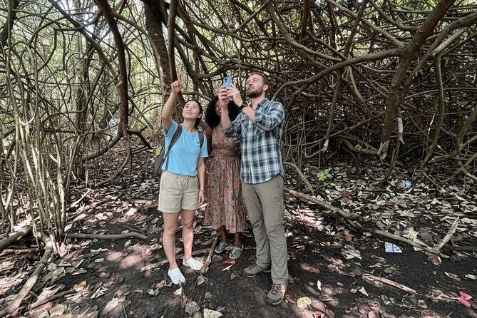 Kochi: Kumarakom Day Trip with Shikara Cruise & more - The Sum Up: Is This Tour Worth It?