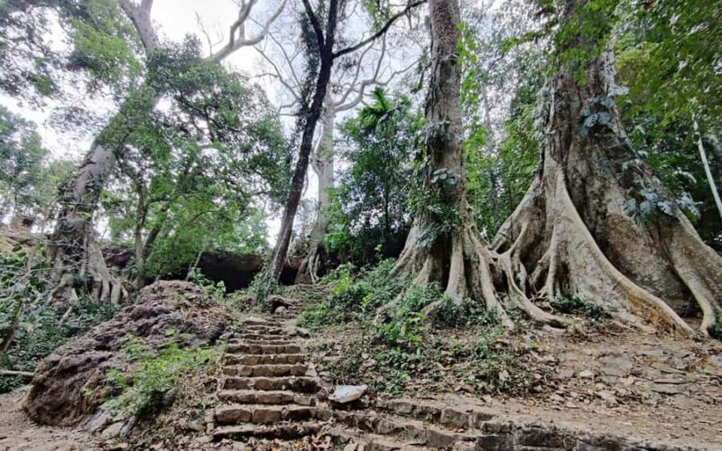 Kochi Nature Day Tour: Caves, Waterfalls and Viewpoint - An In-Depth Look at the Kochi Nature Day Tour