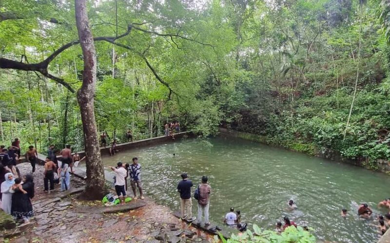Kochi Nature Day Tour: Caves, Waterfalls and Viewpoint - In-Depth Analysis of Each Stop and Experience