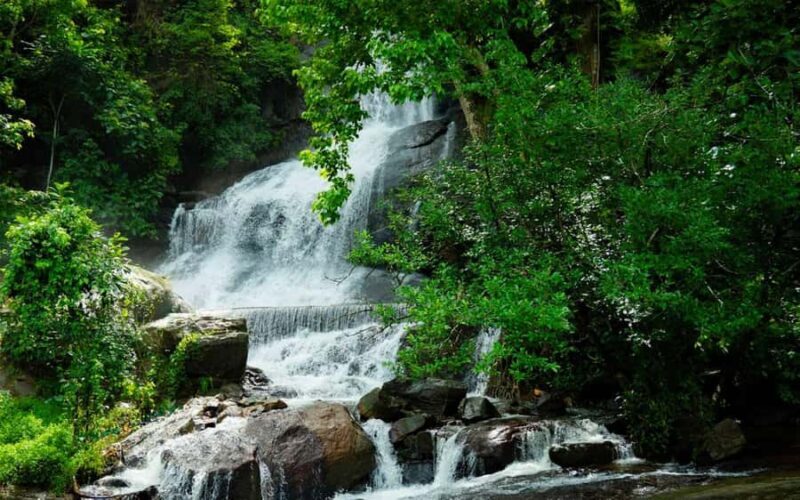 Kochi Nature Day Tour: Caves, Waterfalls and Viewpoint - Practical Details and What to Expect