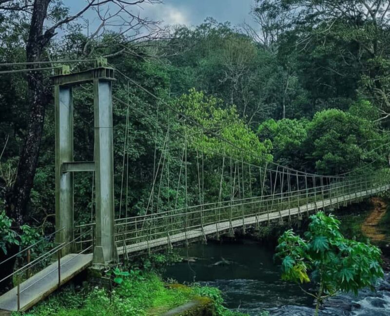 Kochi: Private Kerala Scenic Beauty Day Tour with Lunch - Good To Know