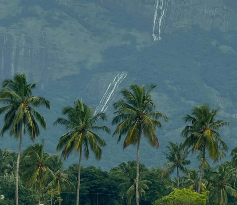 Kochi: Private Kerala Scenic Beauty Day Tour with Lunch - Frequently Asked Questions