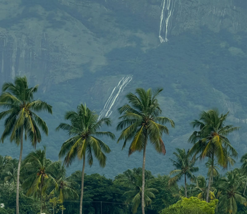 Kochi: Private Kerala Scenic Beauty Day Tour with Lunch - The details that matter most
